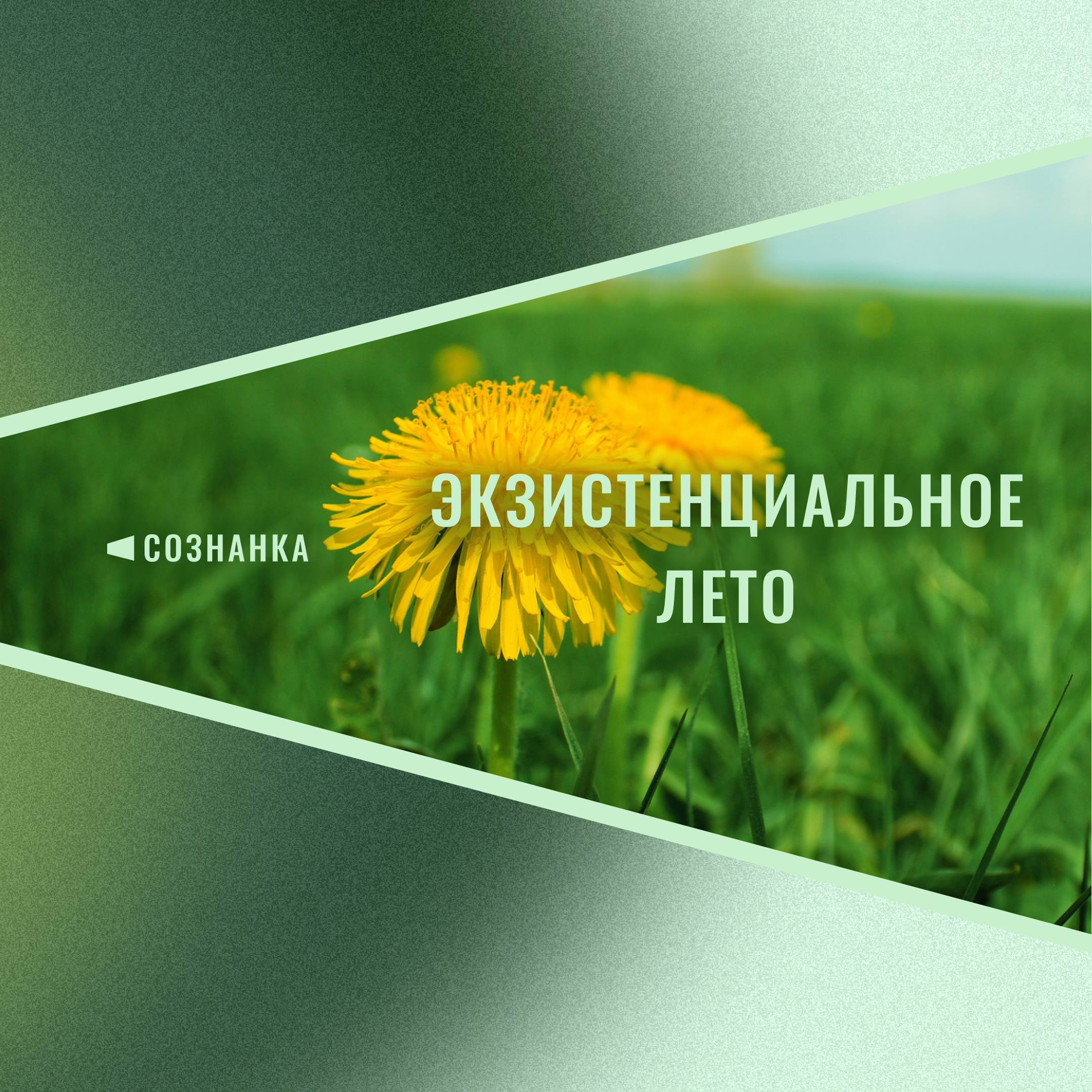 Заголовок